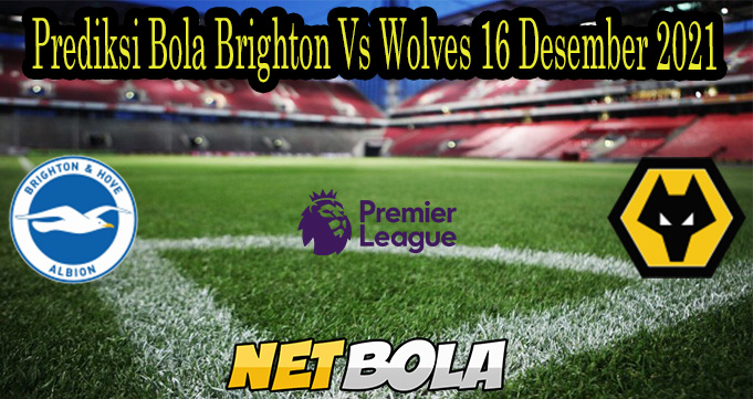 Prediksi Bola Brighton Vs Wolves 16 Desember 2021